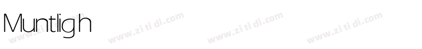 Munt light字体转换